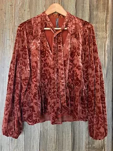 Anthropologie Velvet Burnout Peasant Top Boho Whimsigoth Romantic Rust Sz M - Picture 1 of 12