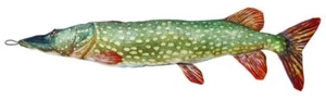 Juguete suave de pescado plano 84 cm - Imagen 1 de 1