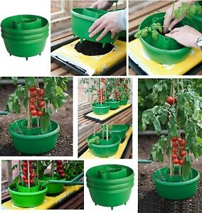 GREEN PLANT HALOS GROW BAG TRAY WATERING HALO RING TOMATOES CANE SUPPORT 