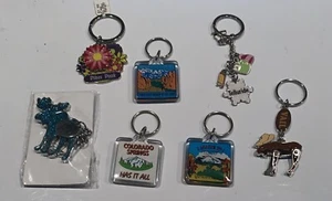 Lot Of 7 Keychain Ring Ski Resort Colorado Collectible Metal Acrylic Vail Pikes - Picture 1 of 2