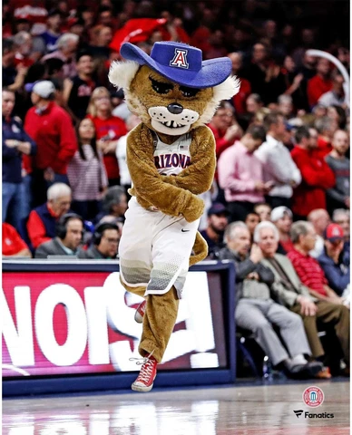 Arizona Wildcats Unsigned Wilbur T. Wildcat Dancing 8" x 10" Photo - Fanatics Cover