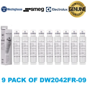 9x 3019986700 SMEG WATER FILTER DW2042FR-09 - Bild 1 von 9
