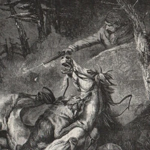 Le tueur de loups  - - Gravure de presse 1858 - Imagen 1 de 2