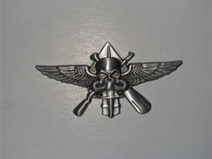 Prototype MARSOC Badge Raider Skull Pin US Marine Corps Tactical Operator - Picture 1 of 1