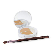 Sheer Cover Studio Conceal and Brighten Highlight Trio Two-Toned Concealers New