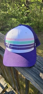 Columbia Fireflies Purple, Pink,Yellow '47 Brand Adjust Fit Mesh Trucker Hat Cap - Image 1 of 4