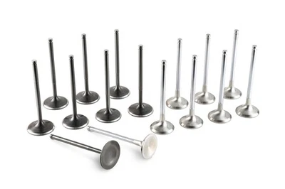 Tomei Racing Intake & Exhaust Valve Set for Nissan S13 S14 240SX KA24DE - Image 1 of 4