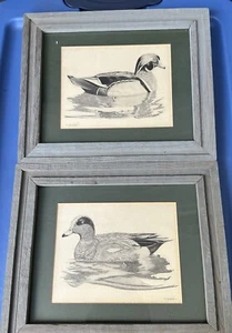 Signed Art Print Frank Hulick DECOY Ducks Mallard/ American Widgeon 1985 12x10 - Picture 1 of 2
