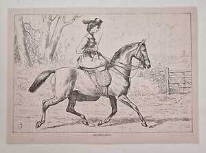 Sidney Trotting Away (1878 Damen Reiten Seitensattel Gravur)