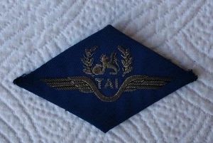 COMPAGNIE de TRANSPORTS AERIENS INTERCONTINENTAUX~GRIFFON~INSIGNE EQUIPAGE/CREW~ - Picture 1 of 3