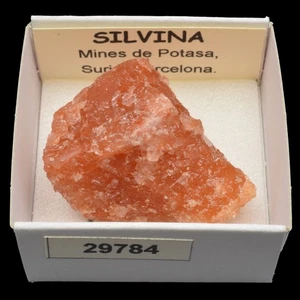 SILVINA (Mines de Potasa, Suria, Barcelona) #29784 / Sylvite - Picture 1 of 1