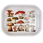 Mushroom Tin Tray Mini Trinket Ritual Botanical Fungi Species Retro Litho Print