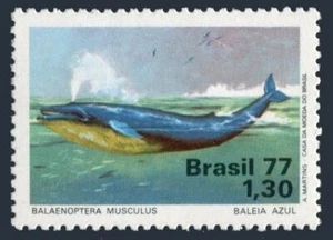 Brazil 1510,MNH.Michel 1597. Protection of Marine life,1977.Blue whale. - Picture 1 of 1