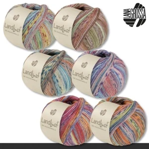 LANA GROSSA 100 G Landlust Die Calzino Filato Seta Maglia Lana Seta 6 Colori - Foto 1 di 20