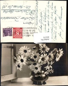 431175, florero con margaritas - Imagen 1 de 1