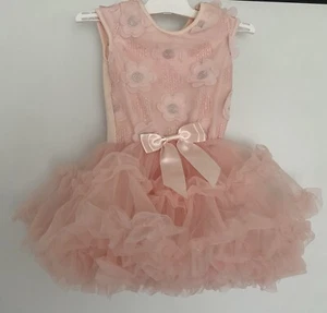 Popatu Baby Girl Dress Pink Tulle Tutu Flower Dress 2t 3t XS - Picture 1 of 7
