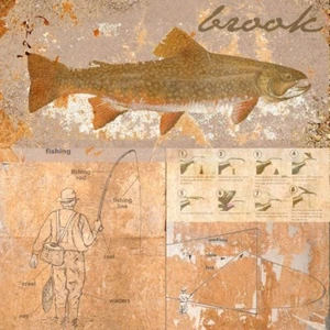 Impresión artística Brook Trout Andrew Sullivan 12x12 - Imagen 1 de 1