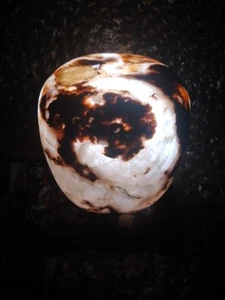 "Museum Replica Egyptian Alabaster Candle Dome + Free Gift – View Photos" - Picture 1 of 13