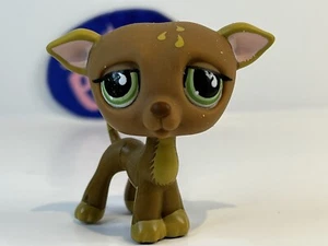 GREYHOUND DOG #507 - Authentic Littlest Pet Shop - Hasbro LPS - Picture 1 of 4