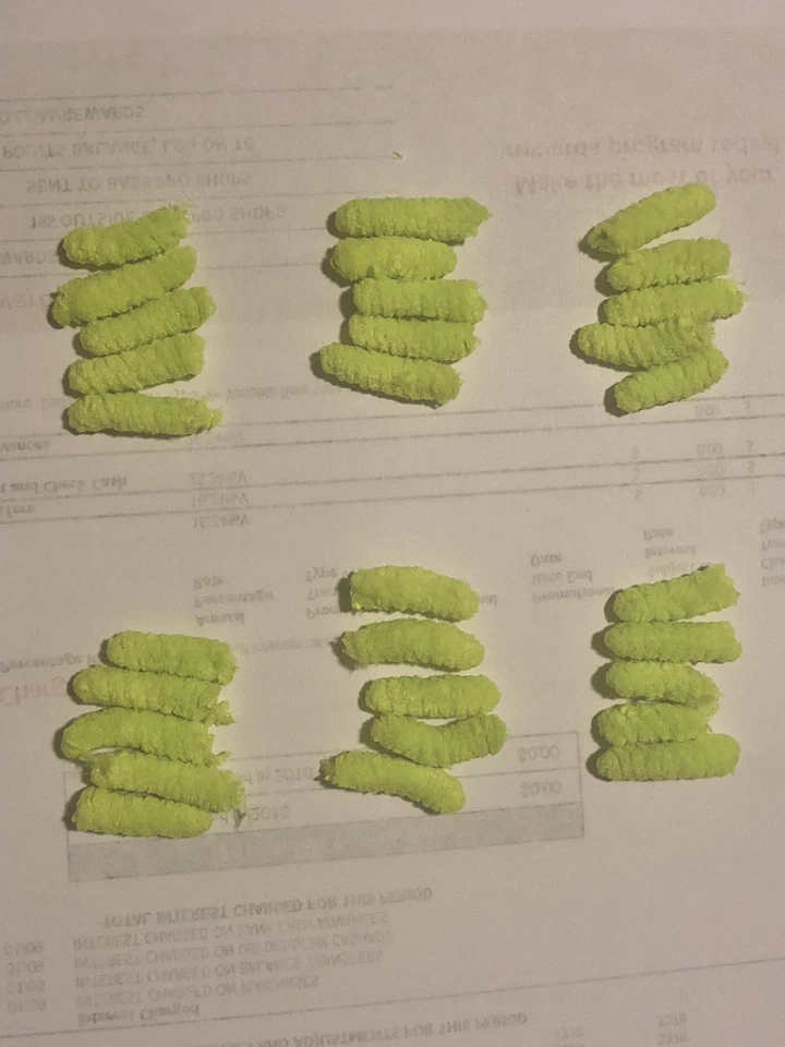 Cuerpos de mosca de fregona verde Florescence Foto 1 de 1