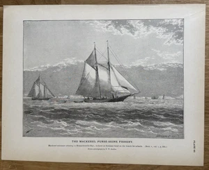 Mackerel Schooner Cruising in Massachusetts Bay 1887 Antique Fishing Print - Picture 1 of 12