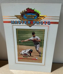 1993 Stadium Club Master Photos Redemptions #NNO Cal Ripken - Baltimore Orioles - Picture 1 of 1