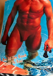 NOS/Vtg Lot of 49 Beach Postcard 1980's -I am at the Beach Nuts to You! Hunk - Picture 1 of 5