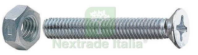 5SCATOLE SC VITI A METALLO TESTA SVASATA PIANA 4X40 C DADI (PZ.20): - Immagine 1 di 1