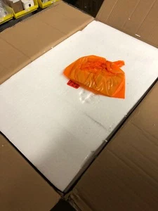 Capital Lighting 141731BN-508 Lexi 3-Light 23" Vanity Light - Brushed Nickel - Picture 1 of 2