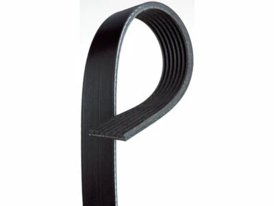 Cinturón multi costilla para Honda Accord 2008-2012 AC Delco 86647QP 2009 2010 2011 Foto 1 de 2