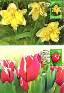 2017. Flowers. Maxi Cards (FDC) - Picture 1 of 3