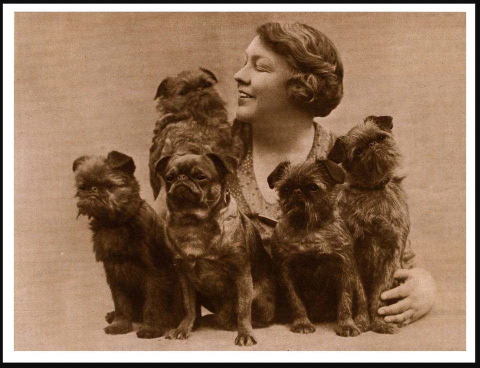 PÓSTER IMPRESO FOTOGRÁFICO SEPIA TALLA A4 ESTILO VINTAGE DAMA Y PERROS GASA BRUSELAS Foto 1 de 1