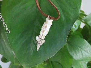 Necklace with shark tooth and vertebrae. - Picture 1 of 4
