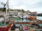 Photo 6x4 Boats in the Harbour at Padstow A 'normal' day in Pad c2009