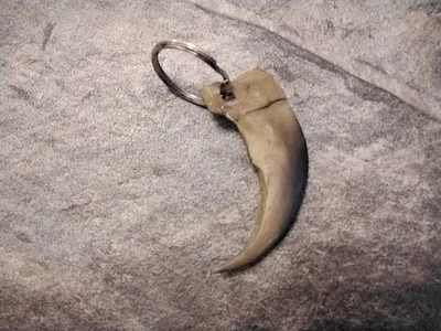 Grizzly Bear Claw Keychain  For 1 Bone Resin  Grizzly Claw Keychain - Image 1 of 3