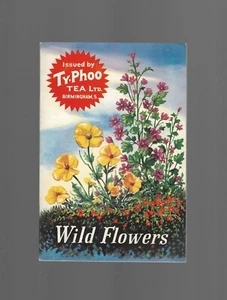 ZIGARETTE/HANDEL/KARTEN.Typhoo Tee.WILDBLUMEN (im Album.)(1961).(Komplettsatz 24 Stück) - Bild 1 von 3