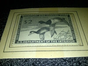 US Federal Duck Hunting Stamp Migratory Bird  void Date June 30, 1955 UnSigned - Picture 1 of 3