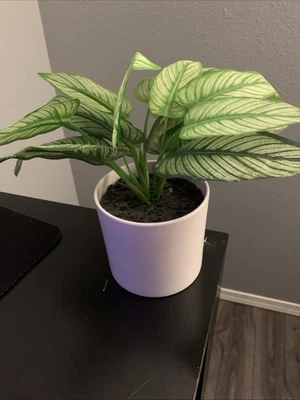 fake-plants indoor large - Image 1 of 3