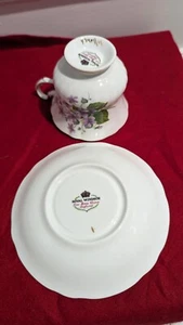 Regency Fine Bone China Tea Cup & Saucer with Violets - Picture 1 of 3