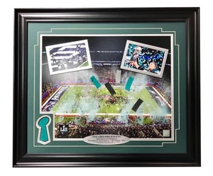 Philadelphia Eagles Super Bowl Champions Authentic Confetti Framed 16x20 Collage - Picture 1 of 9