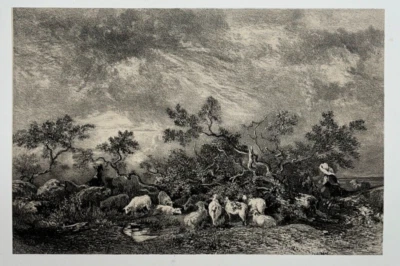 Buisson Landes LITHOGRAPHIE Theodore ROUSSEAU Moutons Paysage Arbre XIX° - Photo 1/2