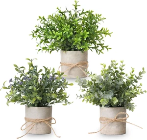 3 Pack Artificial Eucalyptus Plants Indoor 8.5 Inch - Small Faux Greenery for Ho - Picture 1 of 12