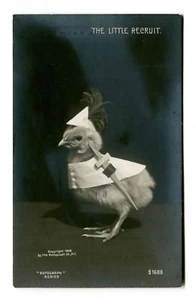Vintage Easter Postcard CHICK IN PAPER HAT & SWORD 1906 rotograph UDB - Picture 1 of 2