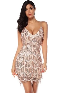 vintage Meilun Sequin Fringe 1920s Flapper Inspired Cocktail Dance Party Dress  - Picture 1 of 6