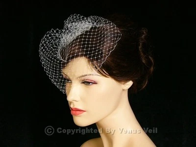 Velo facial colorete jaula para pájaros boda novia 9" blanco hecho a mano Foto 1 de 4