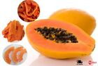 Dried Organic PAPAYA FRUIT Slices Premium Quality Pure Natural Carica papaya