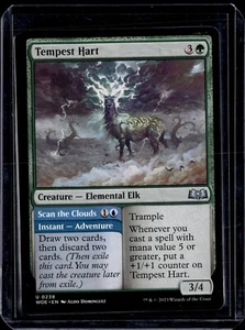 Tempest Hart - 238 - WOE - NM - MTG Magic the Gathering - Picture 1 of 1