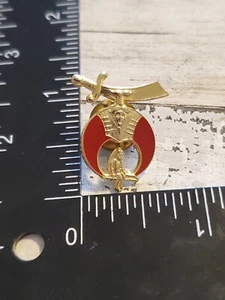 Muletas Shriner Hospital Infantil Columpio Solapa Masónica Pin Pinback Esmalte ru - Imagen 1 de 2