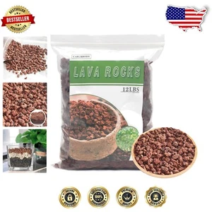Top Quality Volcanic Lava Rocks for Better Drainage - 12lbs for Cacti & Bonsai - Picture 1 of 9