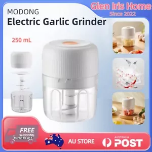 Electric Garlic Chopper Vegetable Meat Grinder Mixer Kids Food Processor Kitchen - Picture 1 of 17